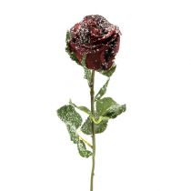 kohteita Deco ruusunpunainen Ø6cm 6kpl