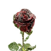 kohteita Deco ruusunpunainen Ø6cm 6kpl
