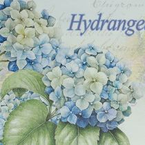 kohteita Koristeellinen hortensioiden muovitarjotin valkoinen 39×27,5cm