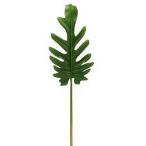 Koristeelliset lehdet Philodendron green W11cm L34cm 6kpl