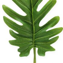 kohteita Koristeelliset lehdet Philodendron green W11cm L34cm 6kpl