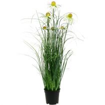 Koristeellinen ruoho kamomilla ruukussa Keinotekoinen 66cm