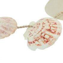 kohteita Koristeellinen ripustin merellinen kuori koristelu luonnollinen Ø5-10cm 70cm