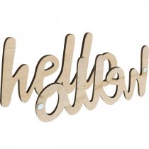 kohteita Puiset koristekukat "Hello" luontokyltti magneetilla 18/19,5cm 6kpl