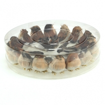 kohteita Koristelintuja 9cm langalla 16 kpl