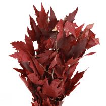 kohteita Koristeoksat vaahteranlehdet koristevaahteranlehdet punaiset 50-60cm 100g
