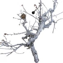 kohteita Deco oksat bonsai puu deco oksat pesty valkoinen 800g