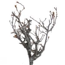 Deco-oksat bonsai-puiset deco-oksat 15-30cm 650g
