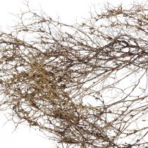 Deco oksat Iron Bush oksat luonnollinen koristelu puu luonto 250g