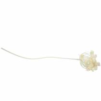 kohteita Tilinvalkoinen lunta 117cm