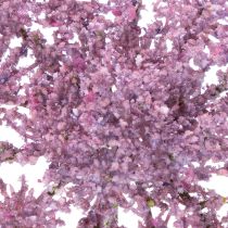 kohteita Silkkikukkainen tilli-keinotekoinen kasvi moderniin sisustukseen 70cm