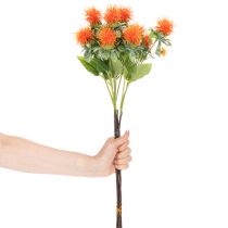 kohteita Keinotekoinen oranssi saflori tekokukkana maljakoihin ja koristeeksi, 55 cm, 4 kpl