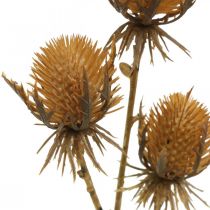 kohteita Thistle Branch Ruskea tekokasvi syksyn koristelu 38cm Keinotekoinen kasvi kuin aito!