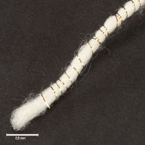 kohteita Valkoinen villanyöri kultaisella langalla 5m x 5mm koristeluun ja askarteluun