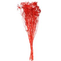 kohteita Sateenvarjokukka-koristeellinen kimppu häihin ja tapahtumiin