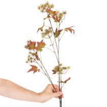 kohteita Keinotekoinen syksyinen eukalyptuspuun oksa lehdillä ja hedelmätertuilla, 132 cm