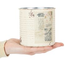 kohteita Metalli-istutuslaatikko, kermanvärinen, Shabby Chic, Ø11cm, korkeus 10.5cm