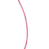 kohteita Lanka kääritty 50 m fuksiaa