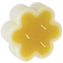 kohteita Kolmilankainen koristeellinen kukkakynttilä keltainen valkoinen Ø11,5cm K4cm