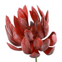 Mehevä Echeveria keinotekoiset vihreät kasvit punainen Ø12cm 19,5cm