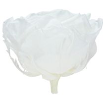 kohteita Aitoja ruusunpäitä Infinity Roses White Premium Ø8.5cm 4 kpl