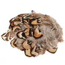 kohteita Oikeat linnun höyhenet koristehöyhenet raidalliset 3-4cm 60 kpl