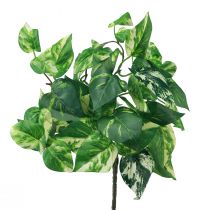 Ivy kasvi Pothos muratti keinokultainen lonka 50cm