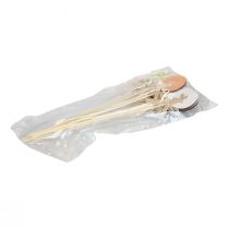 kohteita Kukkatulppa Pääsiäiskoriste puinen kananmuna värikäs pupulla 5×7cm 12 kpl