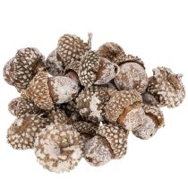 kohteita Tammenterhot, luonnontuote koristeeksi, kalkittu, 1-3 cm, 300 g