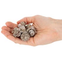 kohteita Tammenterhot, luonnontuote koristeeksi, kalkittu, 1-3 cm, 300 g