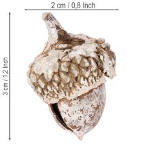 kohteita Tammenterhot, luonnontuote koristeeksi, kalkittu, 1-3 cm, 300 g