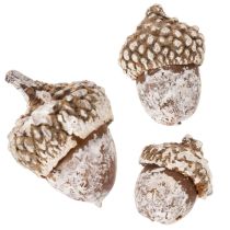 kohteita Tammenterhot, luonnontuote koristeeksi, kalkittu, 1-3 cm, 300 g