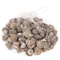 kohteita Tammenterhot, luonnontuote koristeeksi, kalkittu, 1-3 cm, 300 g