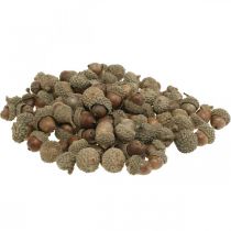 Tammenterhot koristeluun, syyskoristeet, syksyn hedelmät tietysti Ø1,5 - 2,5cm L1,5 - 3cm 300g
