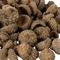 kohteita Luonnonväriset tammenterhojen hatut, koristeelliset kulhot syksyyn ja adventtiin, 2 cm, 300 g
