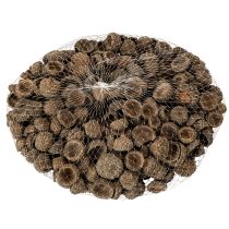 kohteita Luonnonväriset tammenterhojen hatut, koristeelliset kulhot syksyyn ja adventtiin, 2 cm, 300 g