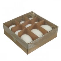 kohteita Joutsenmunat &amp; kananmunat sekoitus puhalletut munat valkuaiset 5,5/8cm 9kpl