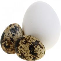 Koristemunasekoitus viiriäisen munia &amp; kananmunia Puhalletut pääsiäismunat