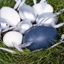 kohteita Emu muna luonnollinen 12cm - 14cm 1p