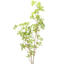 kohteita Keinotekoinen Scheffleran oksa, elegantti kasvikoriste asuintiloihin, 95 cm