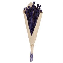 kohteita Mansikka Ohdake Kuiva Ohdake Koriste Violetti 44-58cm 100g
