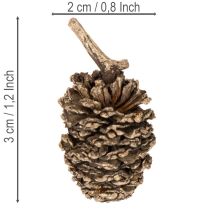 kohteita Leppäkävyt, luonnontuote koristeluun ja askarteluun, kultaa, 3 cm, 300 g
