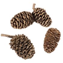kohteita Leppäkävyt, luonnontuote koristeluun ja askarteluun, kultaa, 3 cm, 300 g