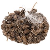 kohteita Leppäkävyt, luonnontuote koristeluun ja askarteluun, kultaa, 3 cm, 300 g