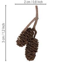 kohteita Luonnonvärisiä leppäkävyjä, irtonaisia, koristeeksi, 3 cm, 300 g, luonnonruskea.