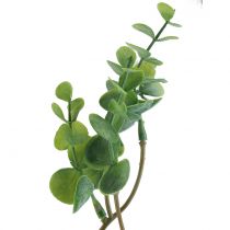 Keinotekoinen eukalyptuksen oksa vihreä 37cm 6kpl