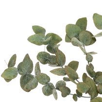 kohteita Säilötty eukalyptus koristeelliset oksat ja lehdet, pyöreät kuivatut koristeet, vihreät, 150g