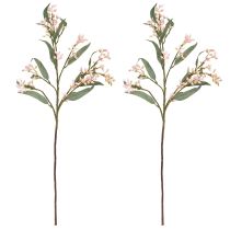 kohteita Eukalyptuksen tekooksa Lehdet Silmut 75cm 2kpl