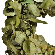 Eukalyptusseppele Luonnollinen eukalyptusseppele säilötty Ø35cm