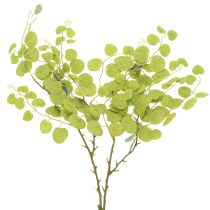 kohteita Koristeellinen eukalyptusoksa, ihanteellinen pöytäkoriste, 120 cm